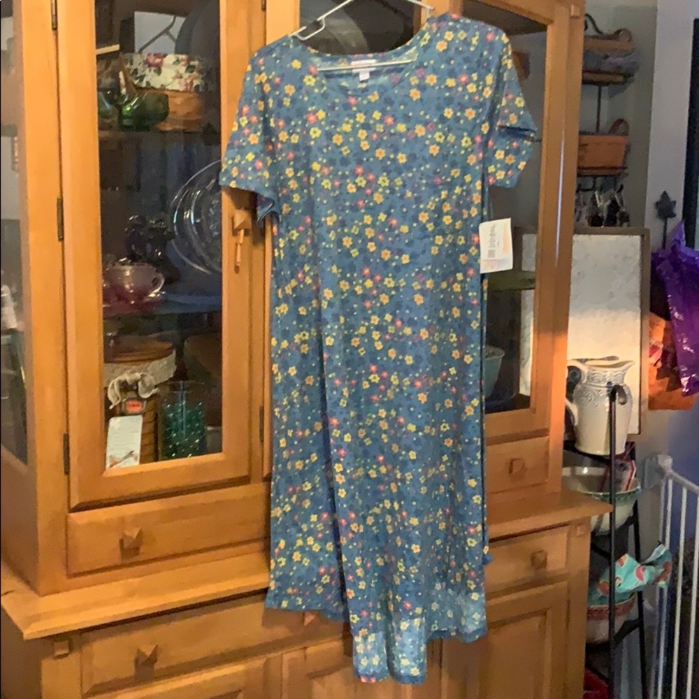L LulaRoe Carly